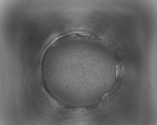 X0000067470243200604142357