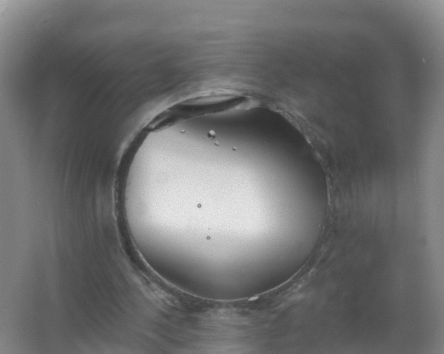 X0000067470244200604142357