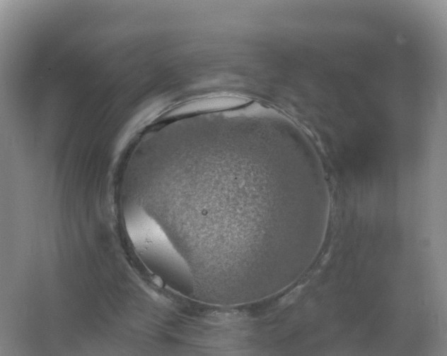 X0000067470245200604142357