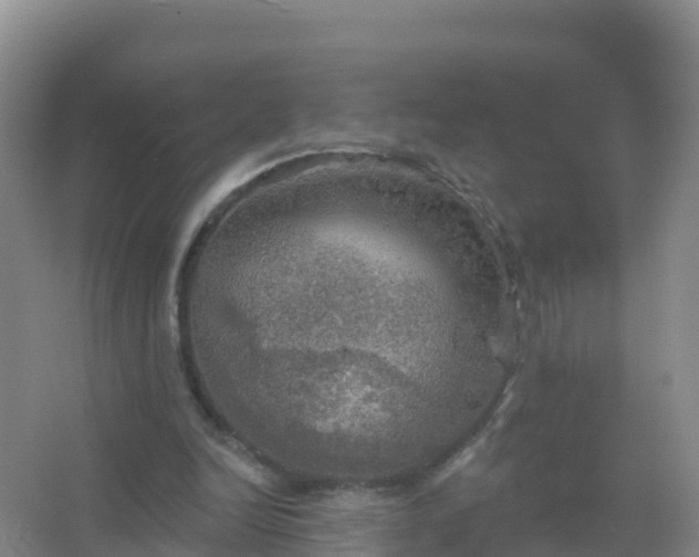 X0000067470246200604142357