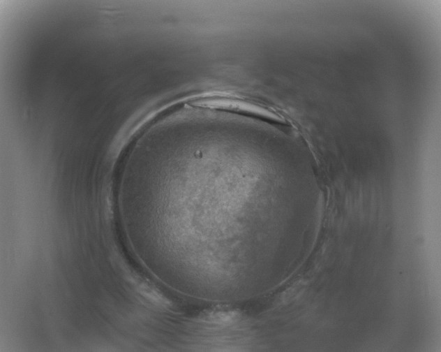 X0000067470247200604142357