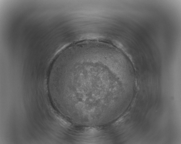 X0000067470249200604142357