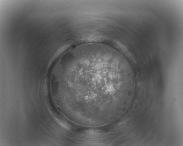 X0000067470250200604142357