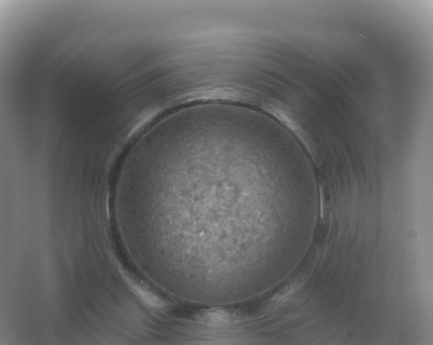 X0000067470253200604142358