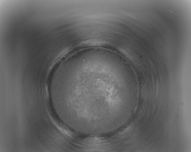 X0000067470254200604142358