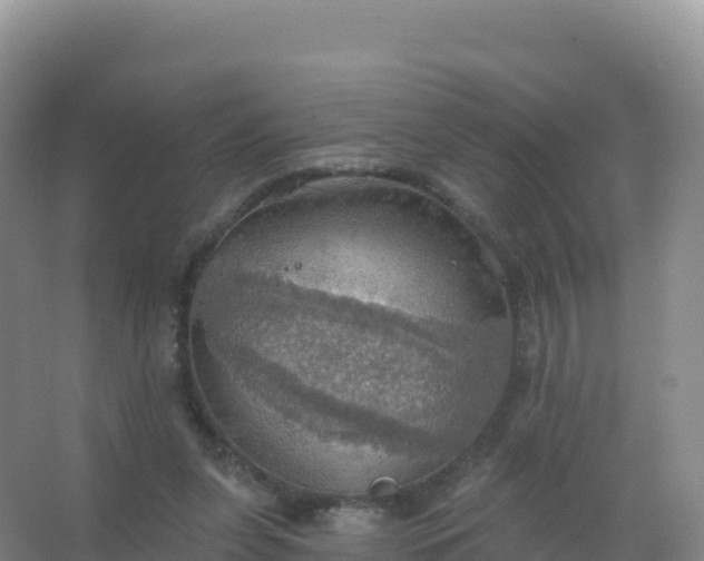 X0000067470255200604142358