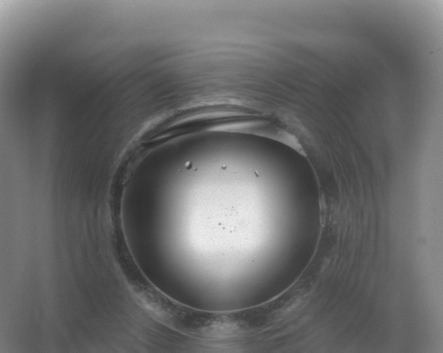 X0000067470256200604142358