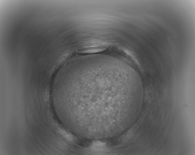 X0000067470257200604142358