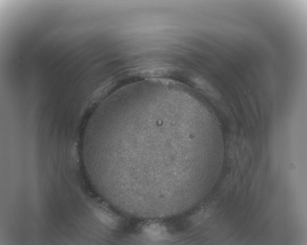 X0000067470258200604142358