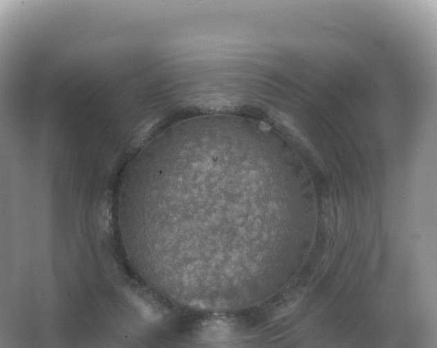 X0000067470259200604142358