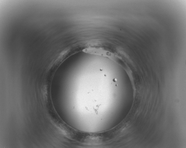 X0000067470260200604142358