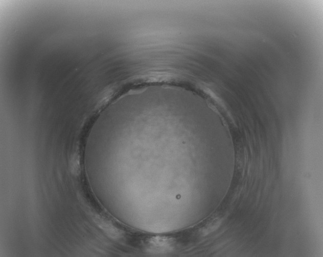 X0000067470261200604142358