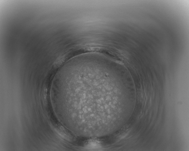 X0000067470263200604142358