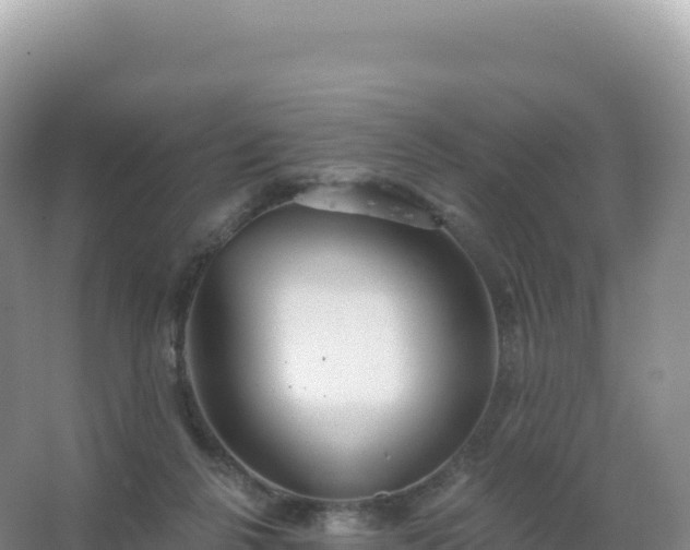 X0000067470264200604142358