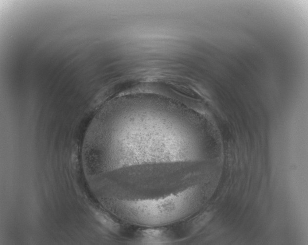 X0000067470265200604142358