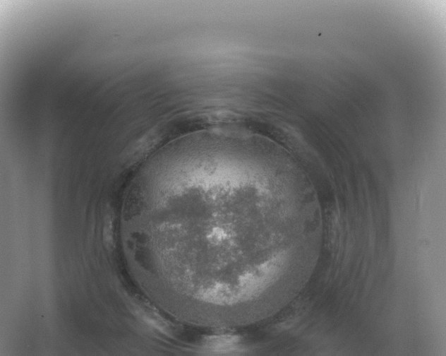 X0000067470266200604142358