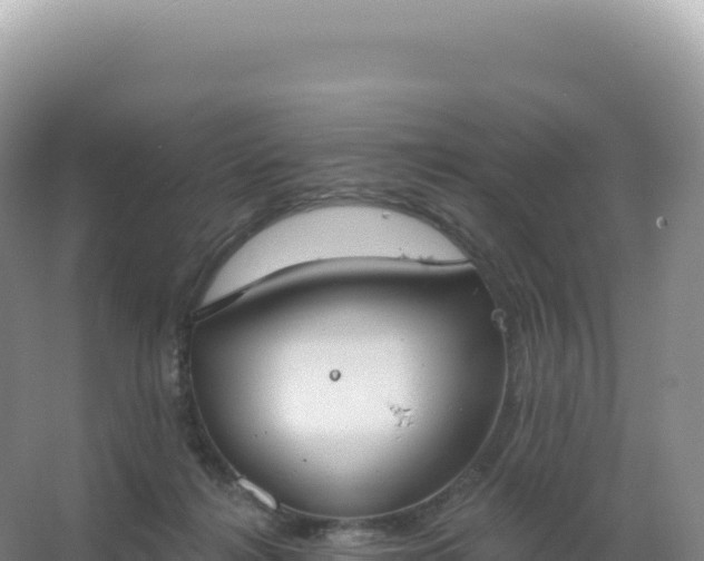 X0000067470268200604142358