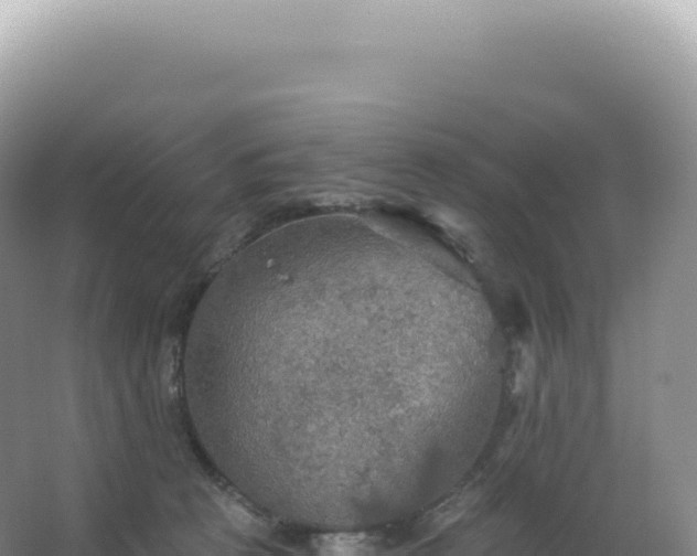 X0000067470273200604142358