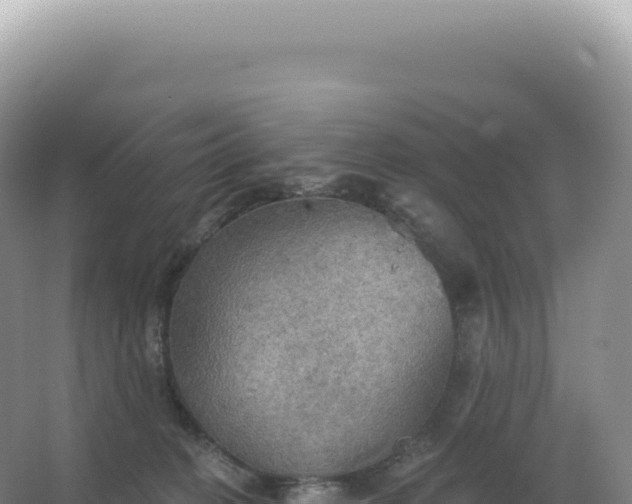 X0000067470274200604142358