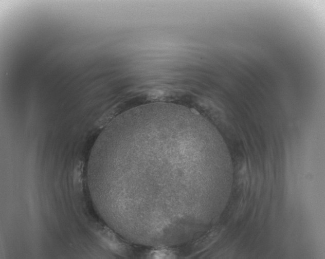 X0000067470275200604142358