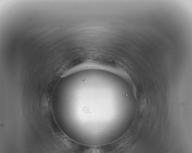 X0000067470276200604142358