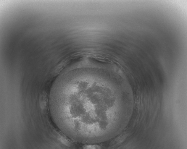 X0000067470277200604142358