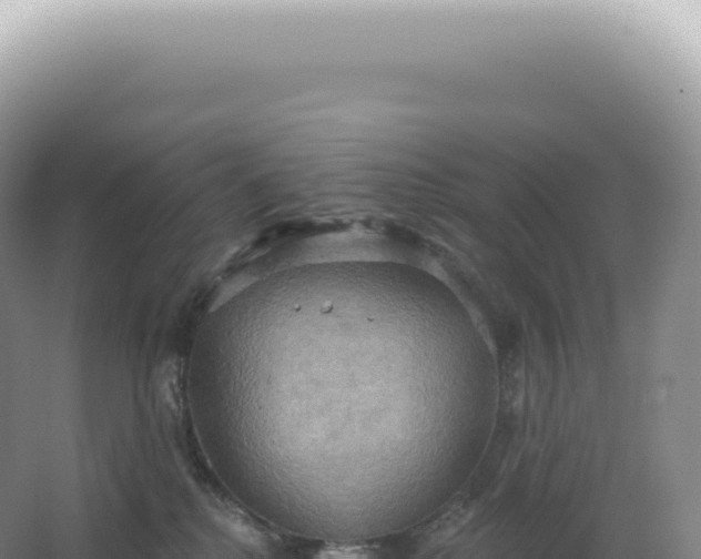 X0000067470280200604142358