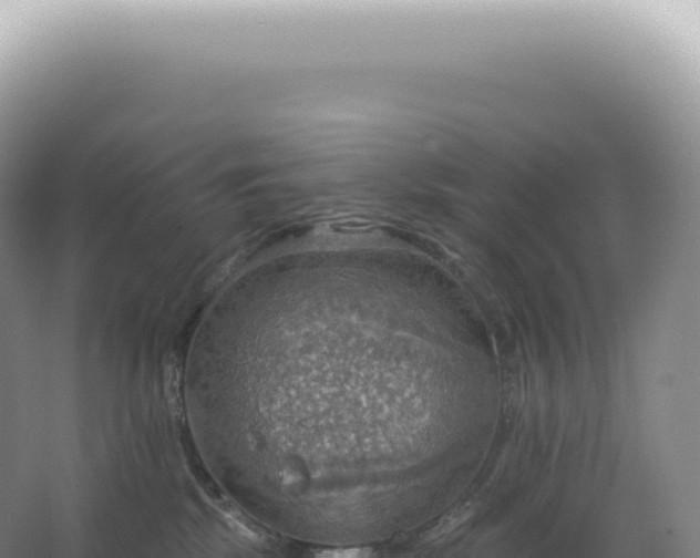 X0000067470281200604142358