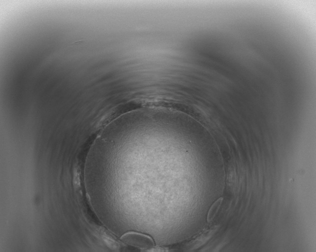 X0000067470282200604142358