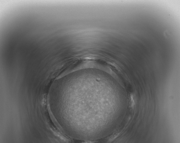 X0000067470284200604142358