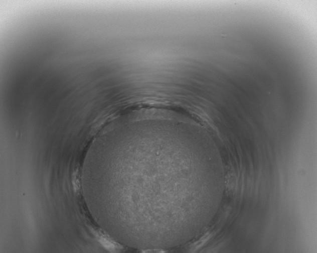 X0000067470285200604142358