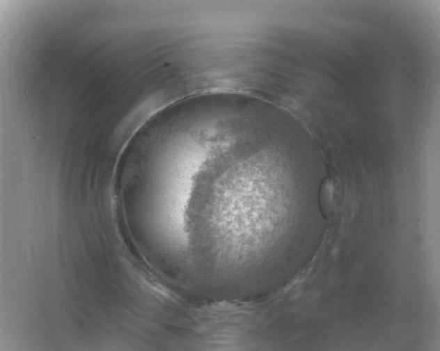 X0000067470290200604142357