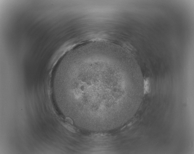 X0000067470291200604142357