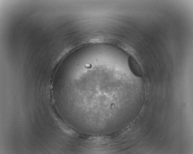 X0000067470297200604142357