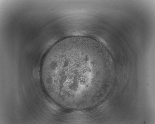 X0000067470299200604142357