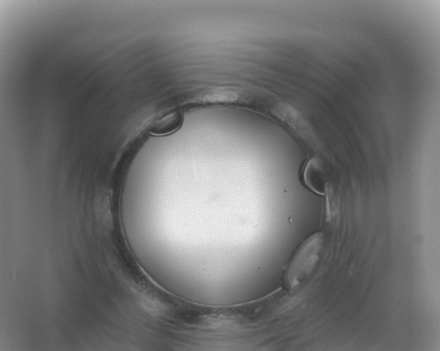 X0000067470300200604142357