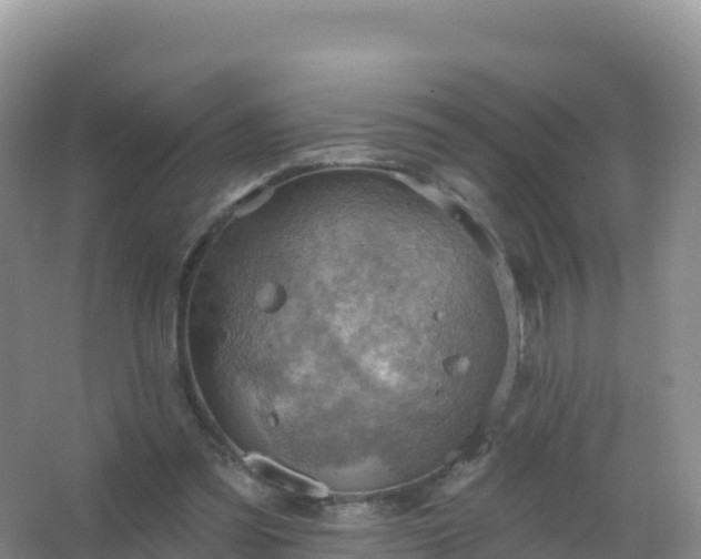 X0000067470301200604142357