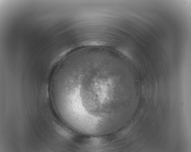 X0000067470302200604142357