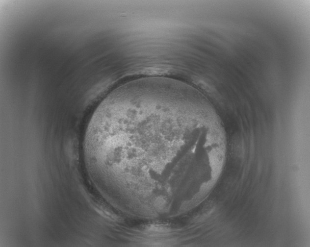 X0000067470303200604142357