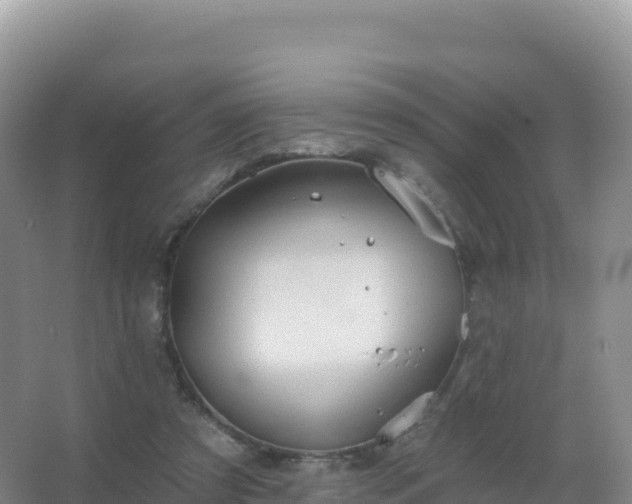 X0000067470305200604142357