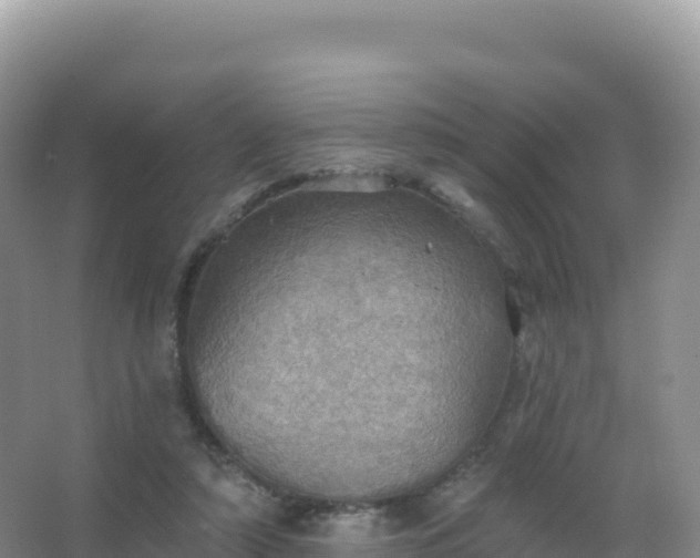 X0000067470306200604142357