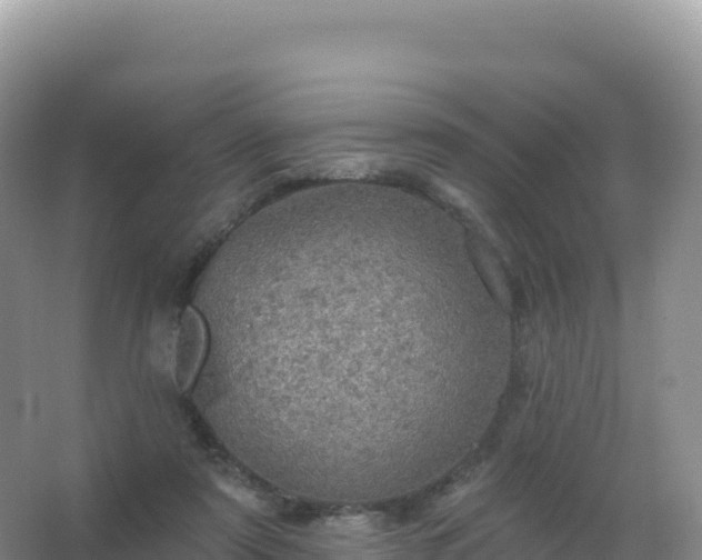 X0000067470307200604142357