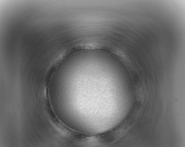 X0000067470310200604142357