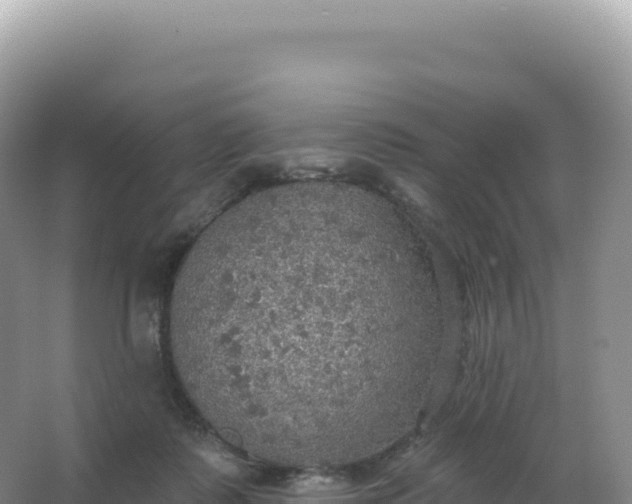 X0000067470315200604142357