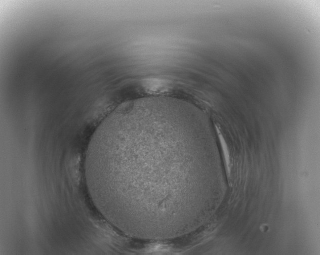 X0000067470319200604142357