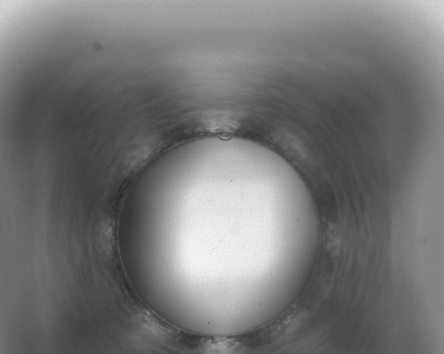 X0000067470321200604142357