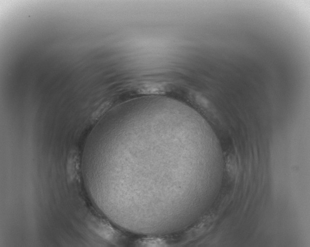 X0000067470322200604142357