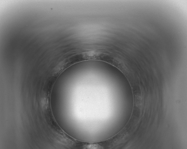 X0000067470324200604142357