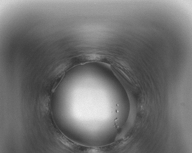 X0000067470325200604142357