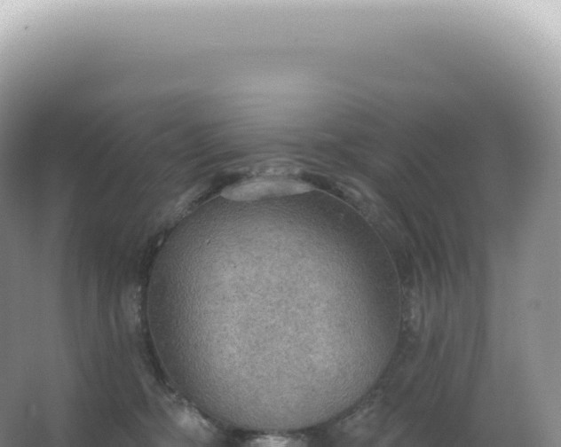 X0000067470326200604142357